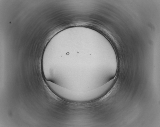 X0000111221417200907301216