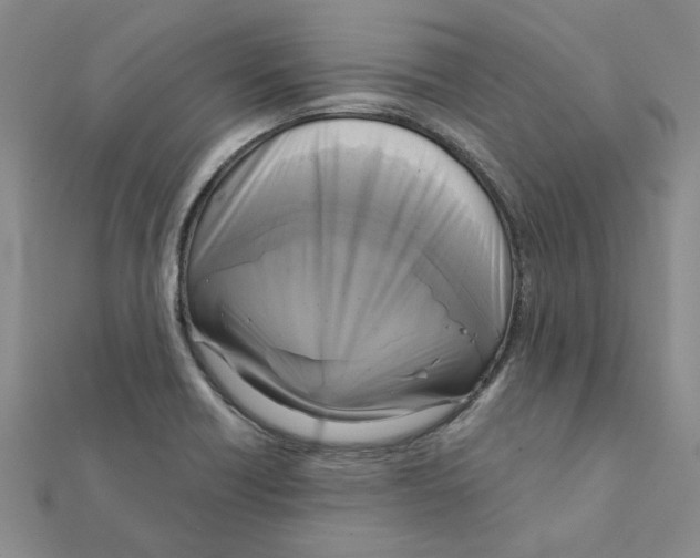 X0000111221418200907301216