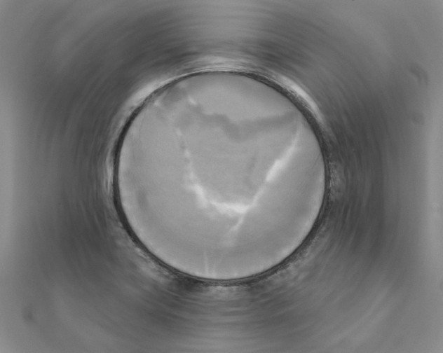 X0000111221419200907301216