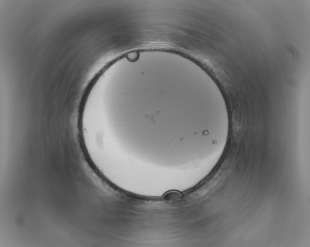 X0000111221422200907301216