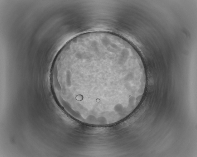 X0000111221423200907301216