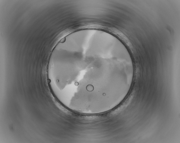 X0000111221425200907301216