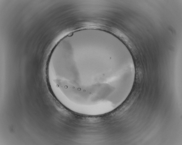 X0000111221427200907301216