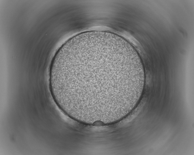 X0000111221430200907301216