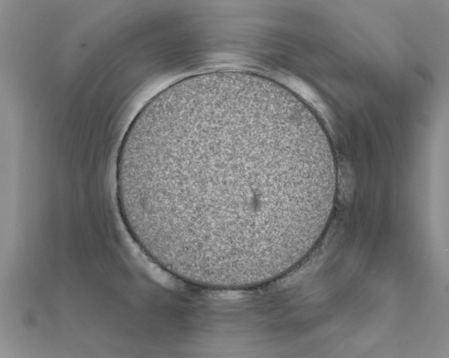 X0000111221431200907301216