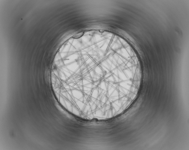 X0000111221433200907301216