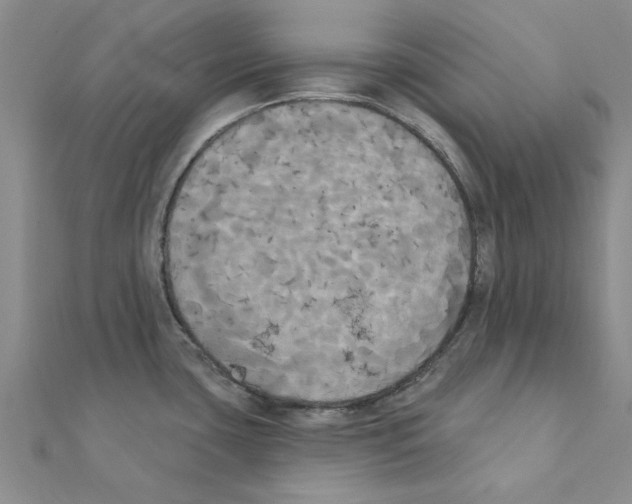 X0000111221435200907301216