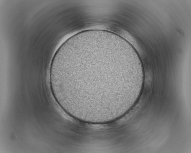 X0000111221436200907301216
