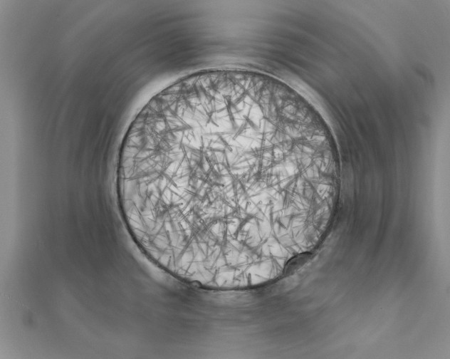 X0000111221437200907301216