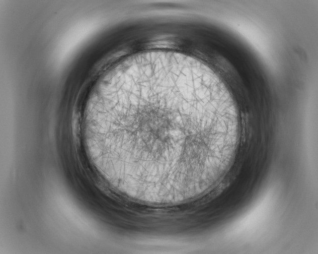 X0000111221438200907301216