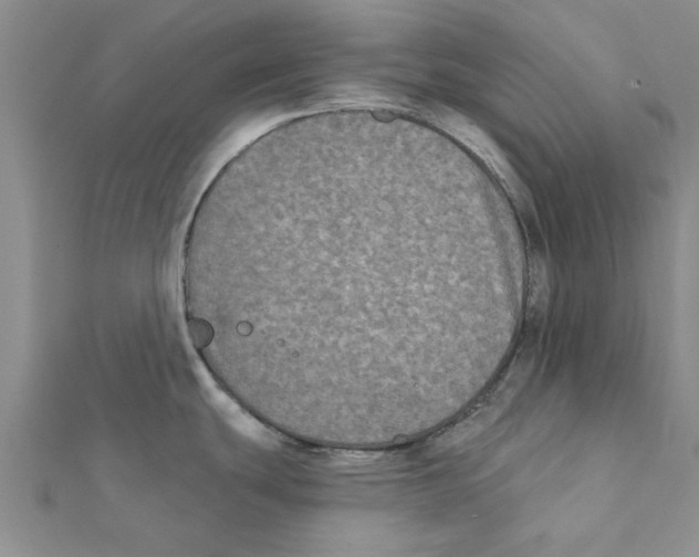 X0000111221439200907301216