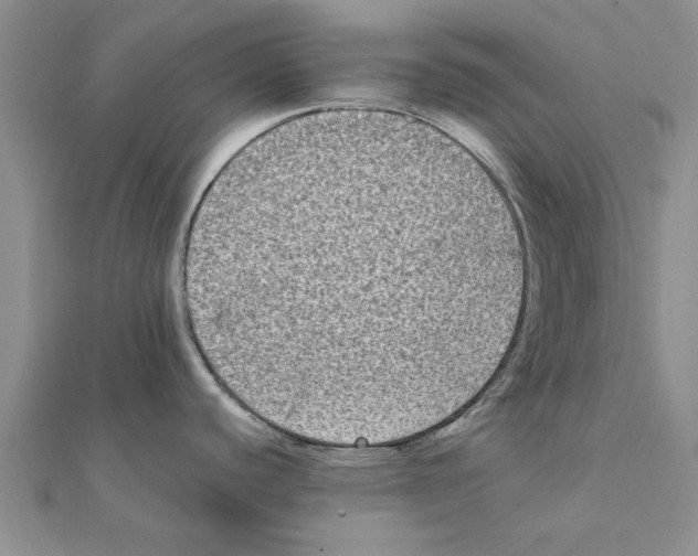 X0000111221440200907301216