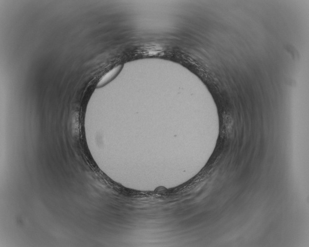 X0000111221442200907301215