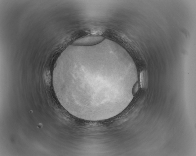 X0000111221443200907301215