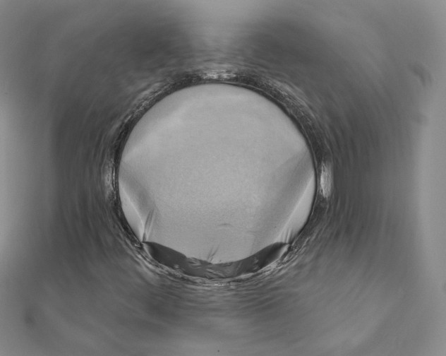 X0000111221444200907301215