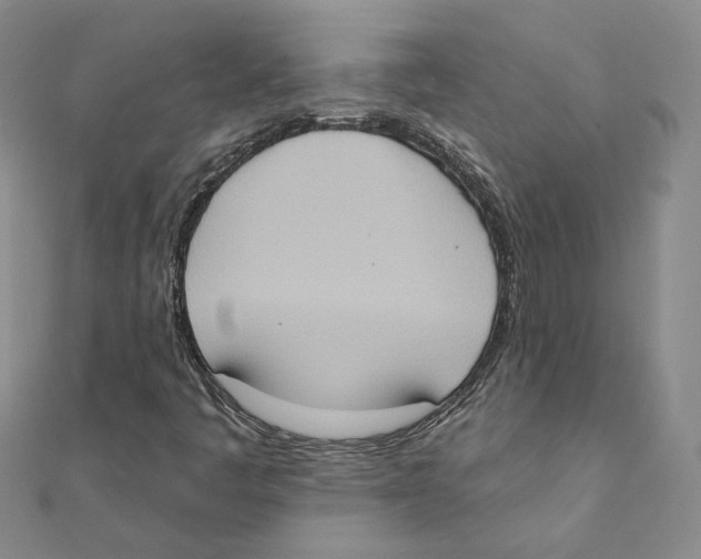 X0000111221445200907301215