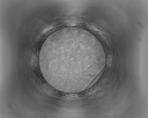 X0000111221446200907301215