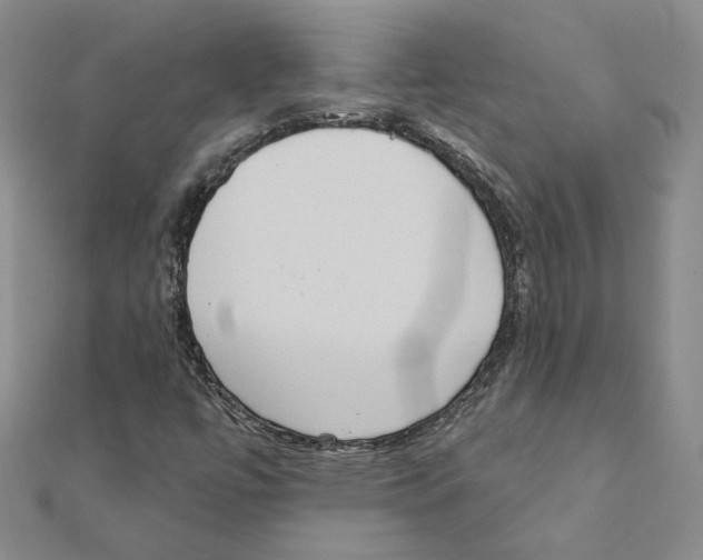 X0000111221447200907301215