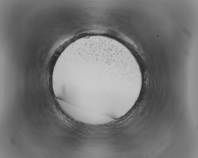 X0000111221448200907301215