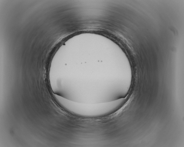 X0000111221449200907301215