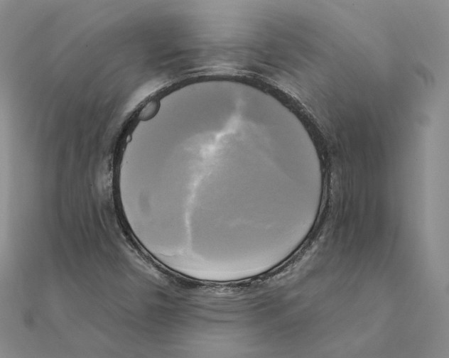 X0000111221450200907301215