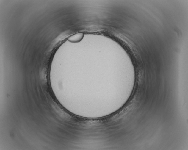 X0000111221451200907301215