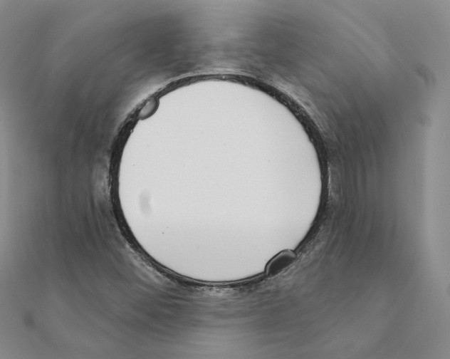 X0000111221452200907301215
