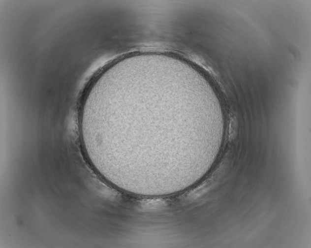 X0000111221454200907301215