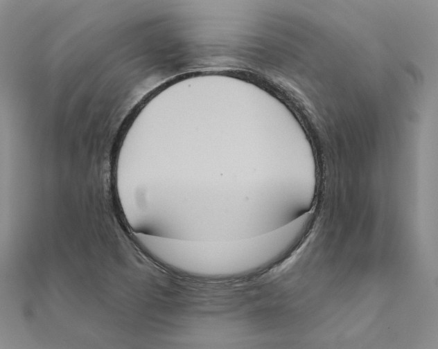 X0000111221457200907301215