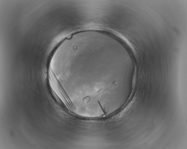 X0000111221461200907301215