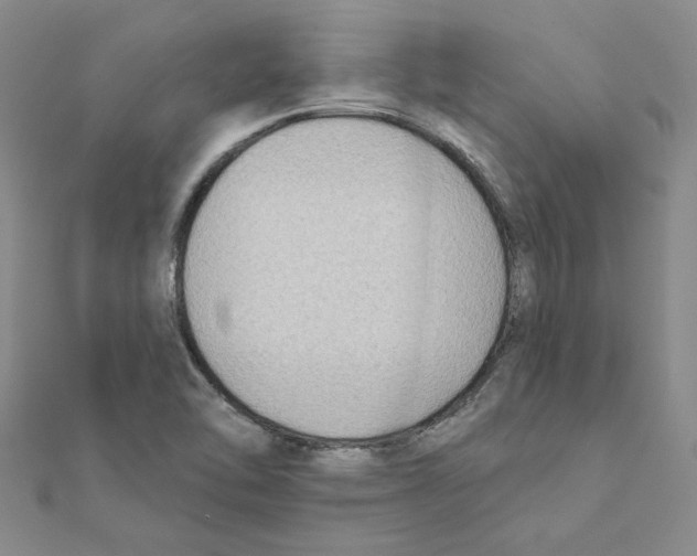 X0000111221462200907301215