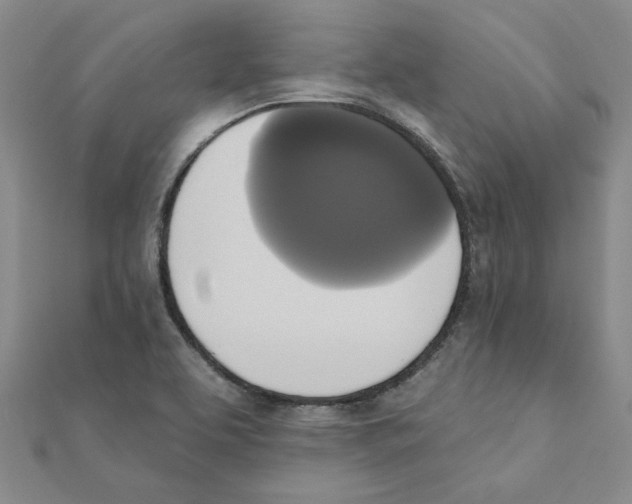 X0000111221463200907301215
