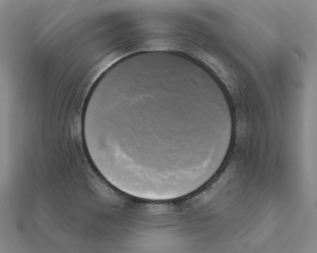 X0000111221465200907301215