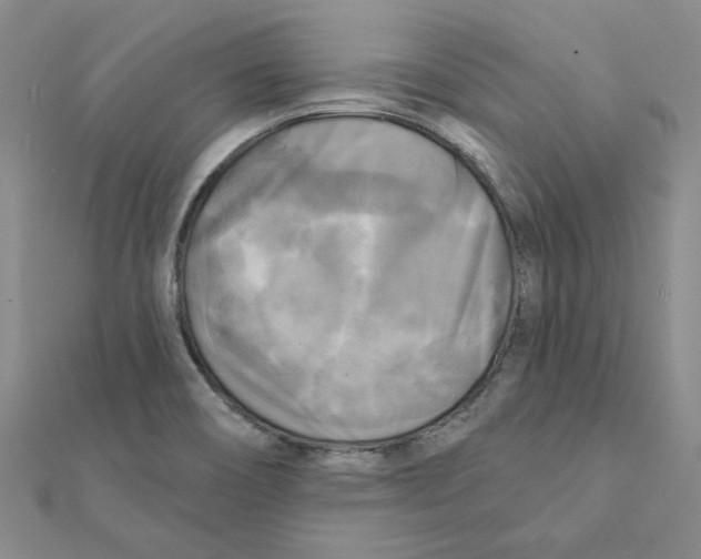 X0000111221466200907301215