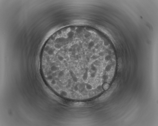 X0000111221467200907301215