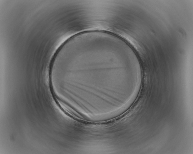 X0000111221468200907301215