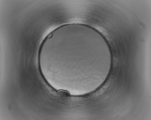 X0000111221469200907301215