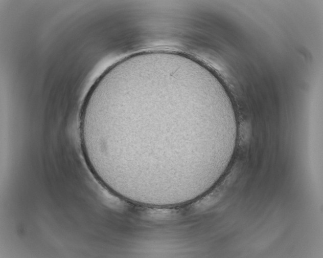 X0000111221470200907301215