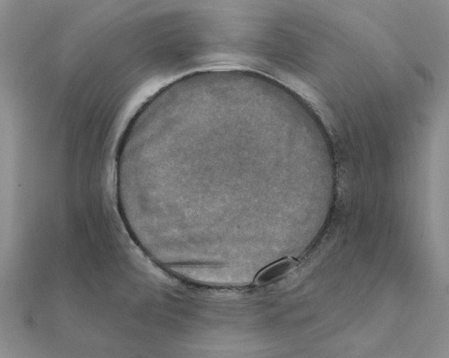 X0000111221472200907301215