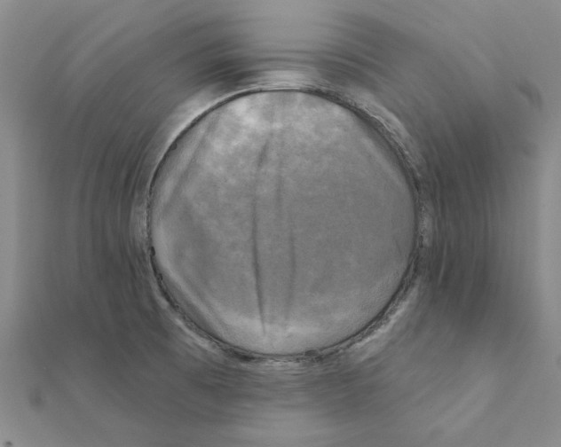 X0000111221473200907301215