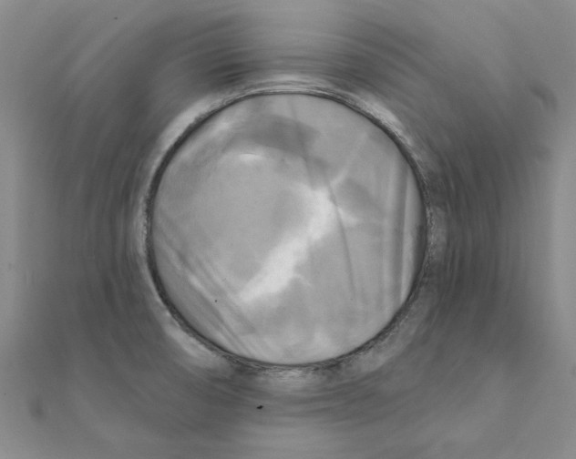 X0000111221474200907301215
