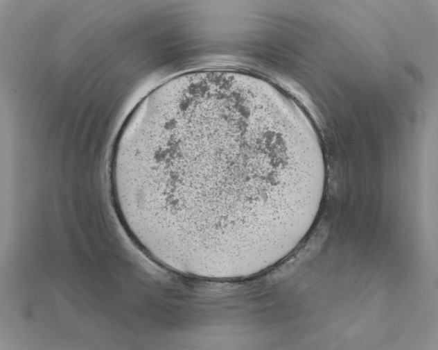 X0000111221475200907301215