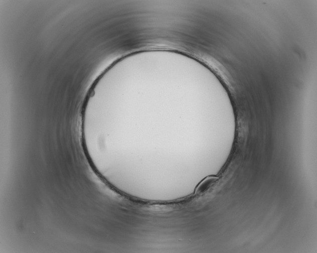 X0000111221476200907301215