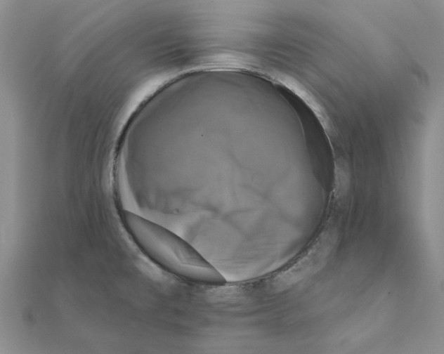 X0000111221477200907301215