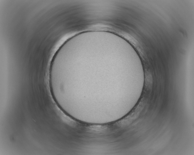 X0000111221478200907301215