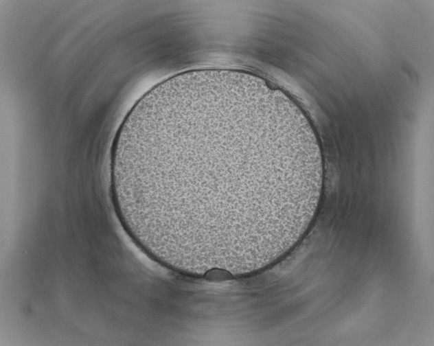 X0000111221479200907301215