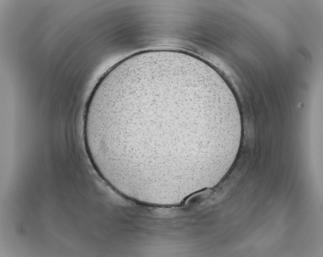 X0000111221480200907301215