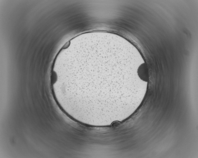 X0000111221483200907301215