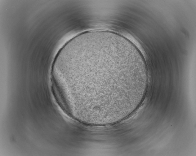 X0000111221485200907301215