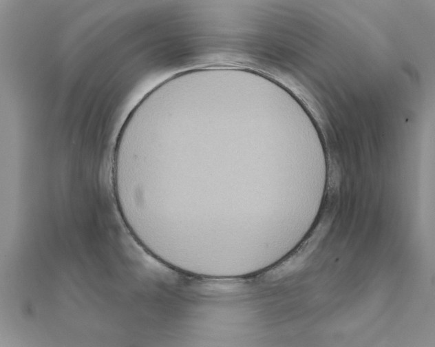 X0000111221486200907301215